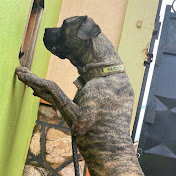 Jovan Bryant - Youtube Profile Picture of Jovan Bryant (@Caboj15) on Youtube