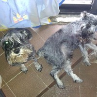 Profile Picture of Axel Castillo (@axel-castillo-4) on Quora