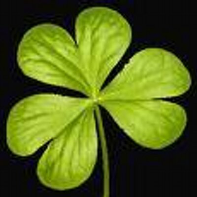 Profile Picture of Jonathan Ferland (@JonathanFerland) on Twitter