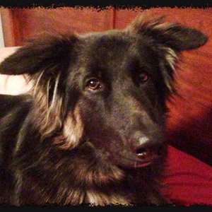 Profile Picture of Greg Palada (@palada6t9) on Myspace