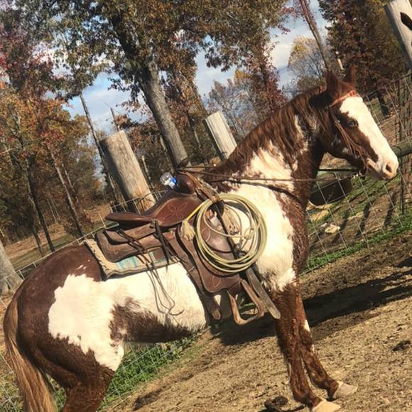 Daxton Garrett - Poshmark Profile Picture of Daxton Garrett (@daxtongarrett) on Poshmark