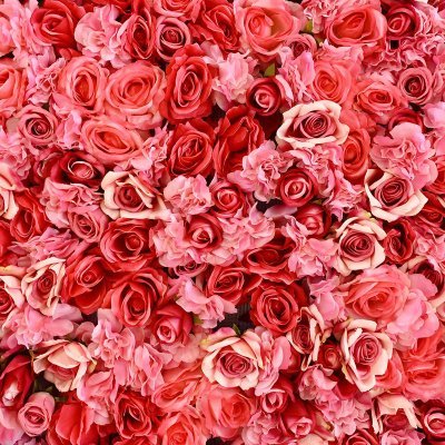 Profile Picture of Bianca Britten (@BiancaNagy_) on Twitter