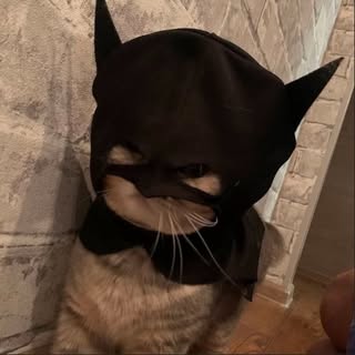 Profile Picture of ᡕᠵ᠊ᡃ່࡚ࠢ࠘ ⸝່ࠡࠣ᠊߯᠆ࠣ࠘ᡁࠣ࠘᠊᠊ࠢ࠘𐡏~♡ (@matthew_poindexter) on Instagram