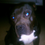 Profile Picture of James Copeland (@copelandboys6) on Flickr