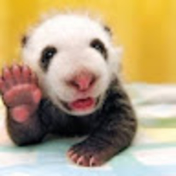 Profile Picture of Debra Freeman (@dafree2028) on Poshmark