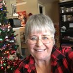 Profile Picture of Cindy Everett (@moosedog53) on Instagram
