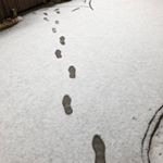 Profile Picture of Alice Bakker (@alicebakker.ede) on Instagram