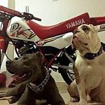 Profile Picture of carlos daniel varon esquivel (@varoncarlosdaniel031) on Instagram