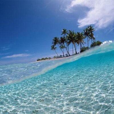 Profile Picture of Bill Zajac (@bill_zajac) on Twitter