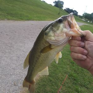 Profile Picture of Richard Serzy738 (@richardserzy) on Tiktok