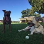 Profile Picture of Joseph Pickens (@joseph.pickens) on Instagram