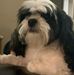 Profile Picture of Mike Stringer (@mike.stringer.5011) on Facebook