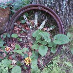 Profile Picture of Roberta Ellis-Stevens (@jussjeepin) on Instagram