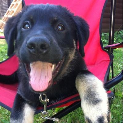 Profile Picture of Matthew Cunliffe (@CunliffeMatthew) on Twitter