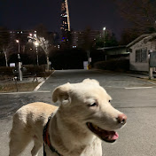 Profile Picture of Jaewon Choi (@jwon921) on Youtube