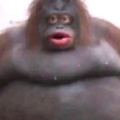 Profile Picture of Katelyn Stanley (@katelyn69210953) on Twitter