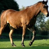 Profile Picture of Mark Remley (@mark-remley) on Quora