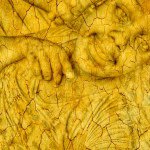 Profile Picture of Mikayla Paul (@bossladykayla_11) on Instagram