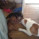 Profile Picture of Tonya Lemaster (@lemastertonya) on Instagram