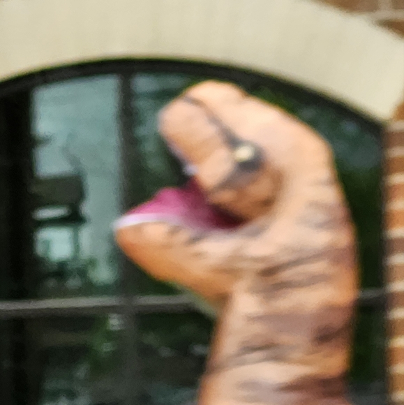 Profile Picture of Hailey Reeves (@hbreeves11) on Poshmark