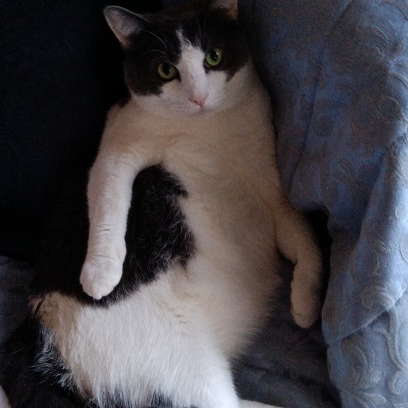 Profile Picture of Luke Mccormick (@lukeduke1357) on Poshmark