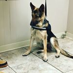 Profile Picture of Paula Guyton (@paulag117) on Instagram