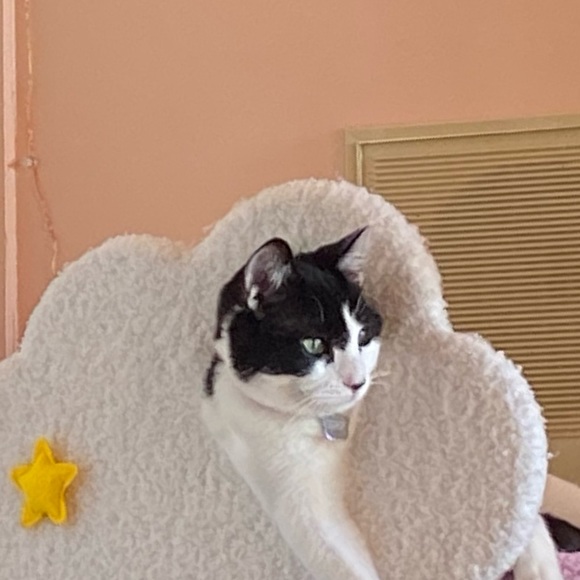 Profile Picture of Dani Hess (@dani_hess) on Poshmark