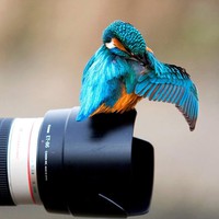 Profile Picture of Ryan Feng (@ryan-feng-28) on Quora