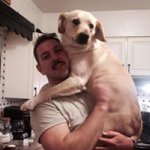 Profile Picture of Scott Shreve (@scott.shreve) on Instagram