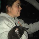 Profile Picture of Carly Haynes (@gnarly_carly96) on Instagram