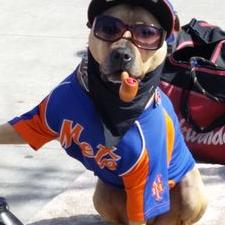 Profile Picture of Andy Santi (@andyalbe0703) on Twitter