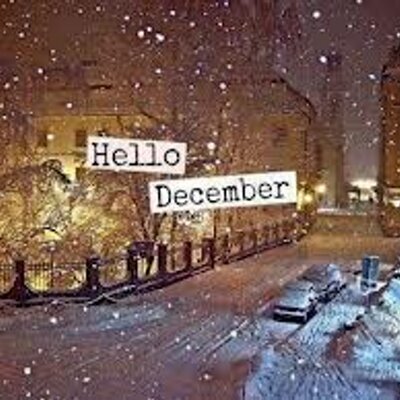 Profile Picture of Adis Ibrahimpasic (@AdisIbrahimpas1) on Twitter