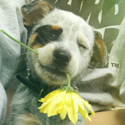 Profile Picture of Vincent Troup (@braceyourself5668) on Youtube