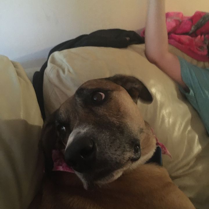 Profile Picture of albert.cogill (@albert.cogill) on Tiktok