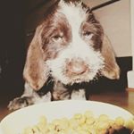 David Bollenberg - Instagram Profile Picture of David Bollenberg (@davidwboll) on Instagram