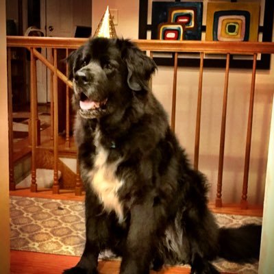 Andy Schuth - Twitter Profile Picture of Andy Schuth (@AndySchuth) on Twitter