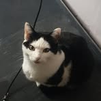 Profile Picture of Blakey Sharks (@Blakey-Sharks) on Facebook