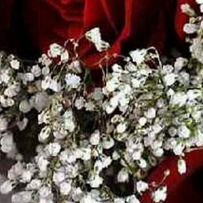 Profile Picture of Nida Davis (@nidadav39825847) on Twitter