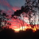 Profile Picture of Ian (@_ian_jordan_) on Instagram