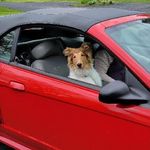 Profile Picture of Jim Bickley (@jbgimi) on Instagram