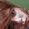 Profile Picture of Lara Mateo (@Lara Mateo) on Flickr