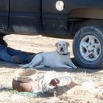 Profile Picture of Jeffrey C. Hagemeier (@jeffreych) on Facebook