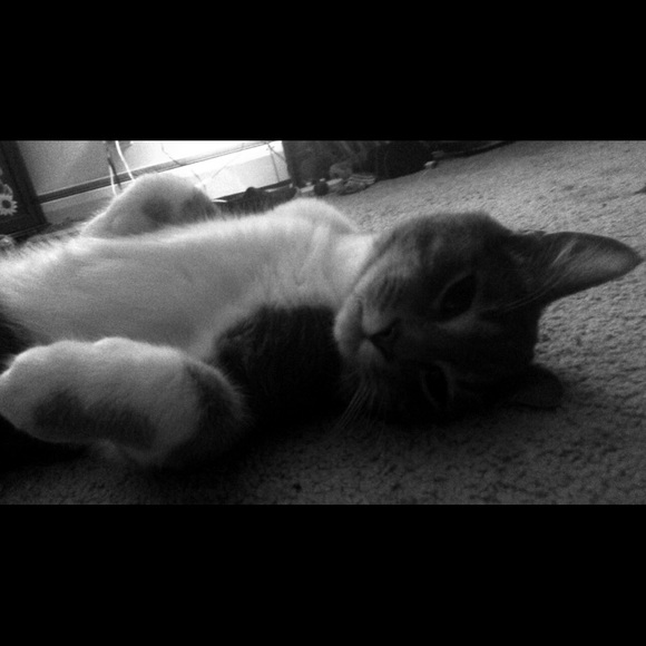 Profile Picture of Alexus Orr (@alexusorr) on Poshmark