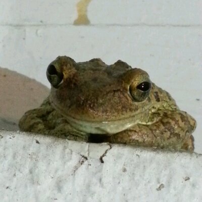 Profile Picture of Cecil Curry (@seasail47) on Twitter
