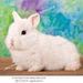 Profile Picture of Lillian Khoury (@khoury0600) on Pinterest