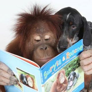 Profile Picture of Tracey Featherstone (@Tracey-Featherstone) on Facebook