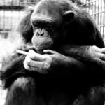 Profile Picture of martin fake jordan (@xauxa._) on Instagram