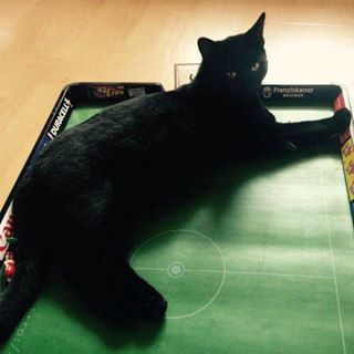 Profile Picture of Pamela Lay (@pamela.lay.75) on Facebook