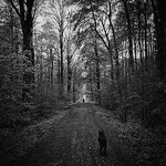 sebastian hernandez jara - Flickr Profile Picture of sebastian hernandez jara (@sebastianhernandezjara) on Flickr