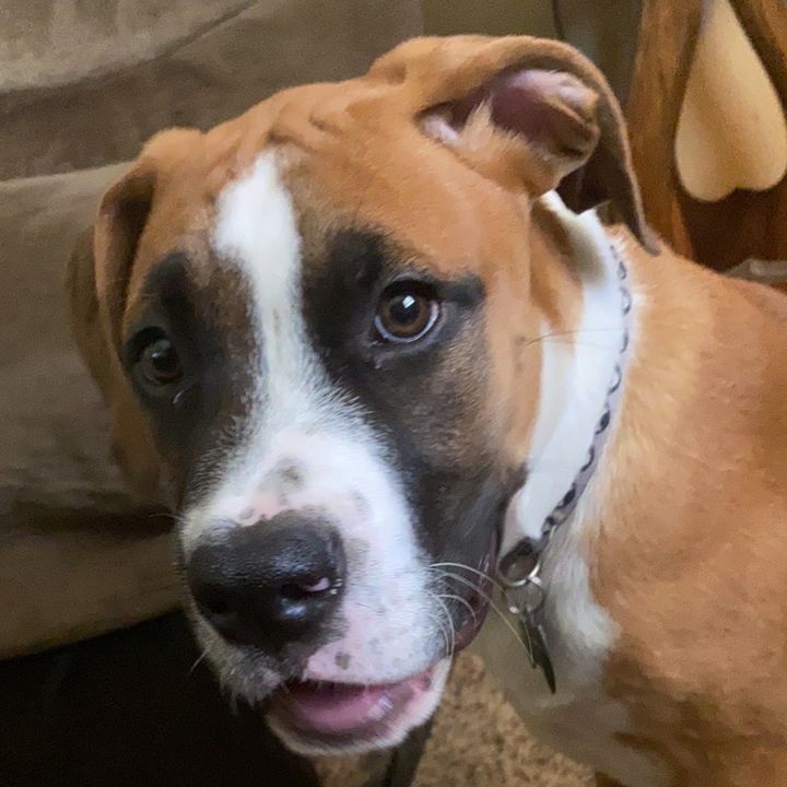 Profile Picture of user4564709329019 (@aida.blair) on Tiktok